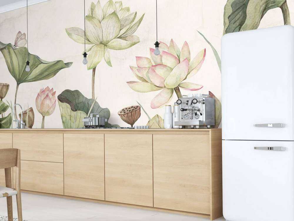 Lovely Water Lillies