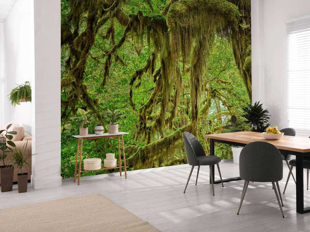 Moss on tree branches