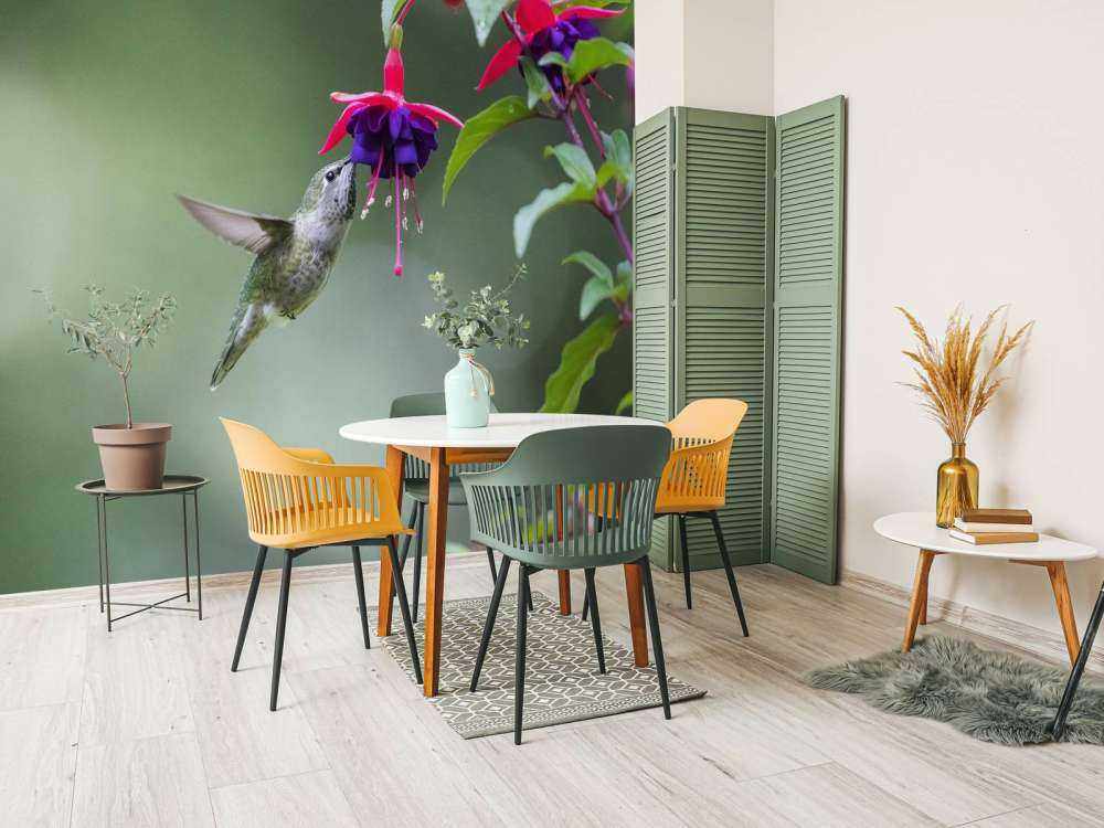 Hummingbird drinking