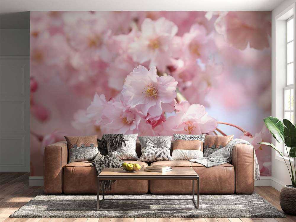 Close-up pink blossoms