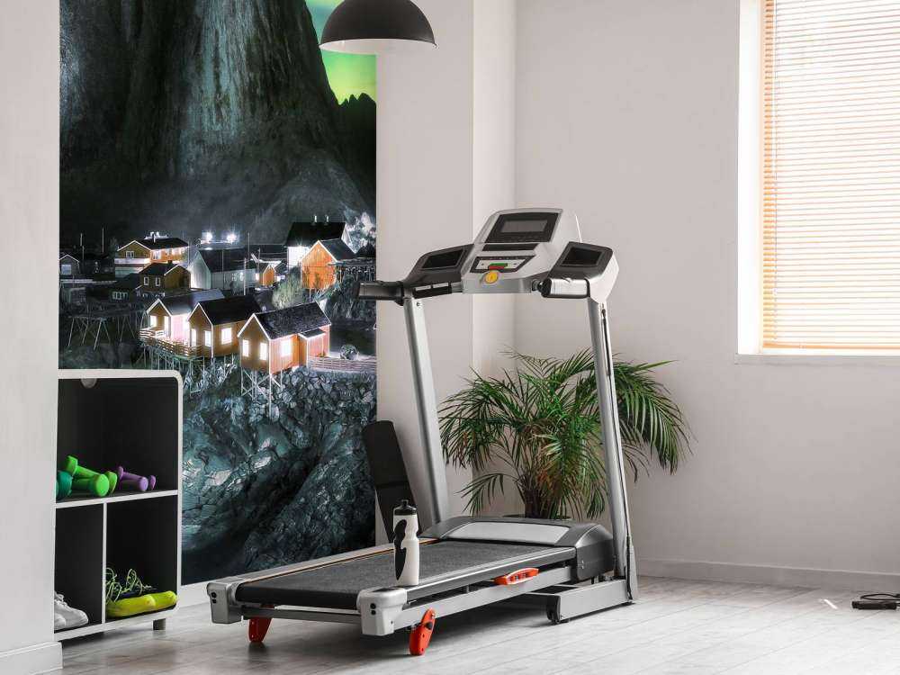 Northern lights above Hamnøy