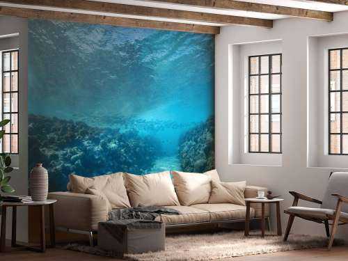 Underwater world with coral