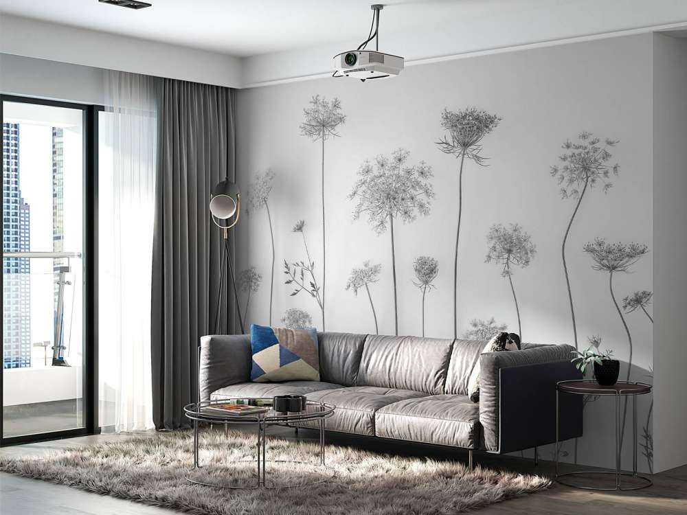 Cow parsley in black and white