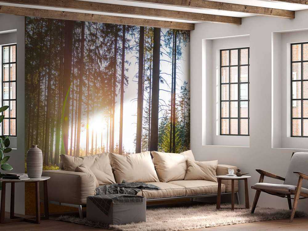 Spring forest