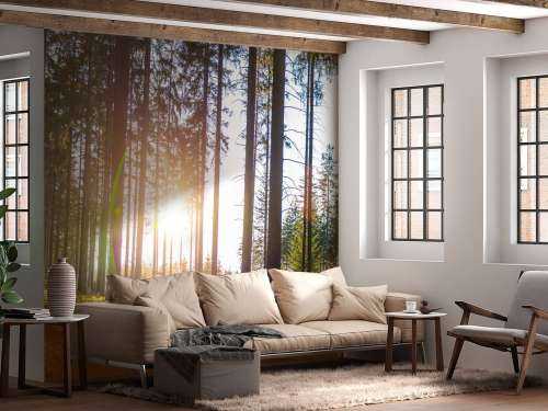 Spring forest