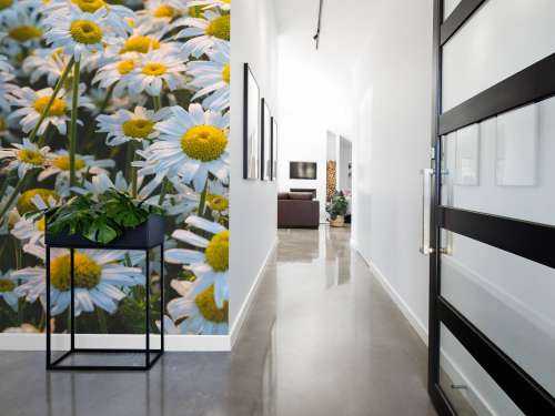 Vintage Daisies
