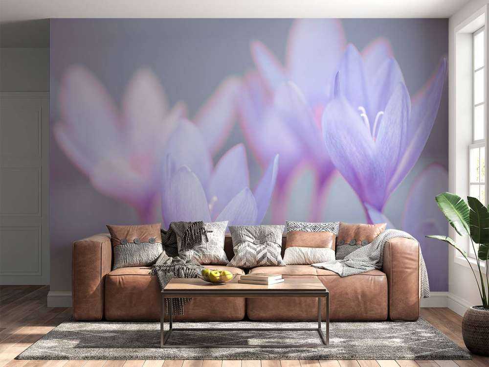 Crocus