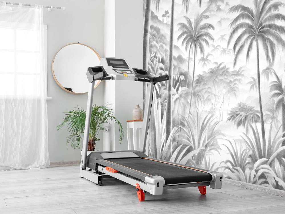 Tropical Mountain Oasis