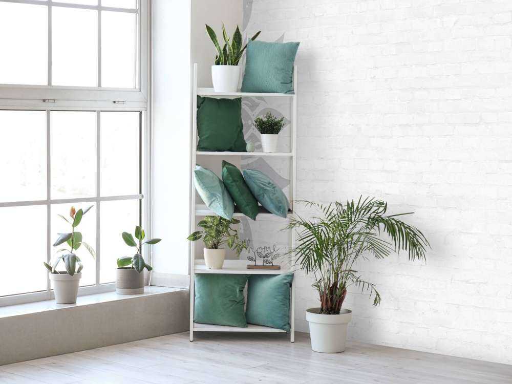 Gray White Mandala Blossom