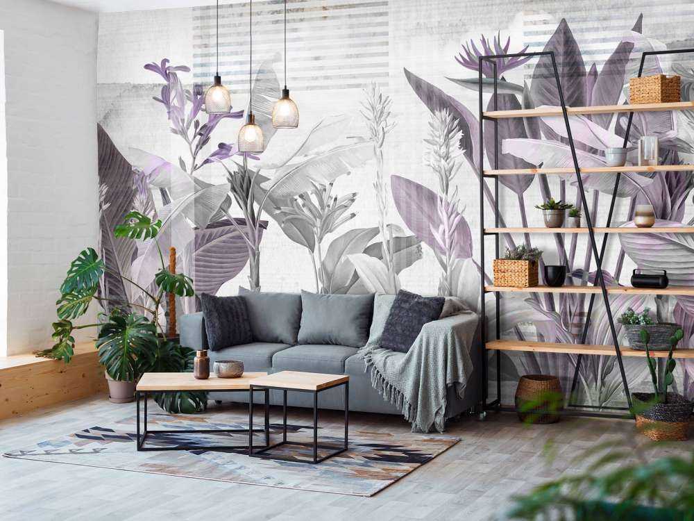 Dreams and Tropics 5