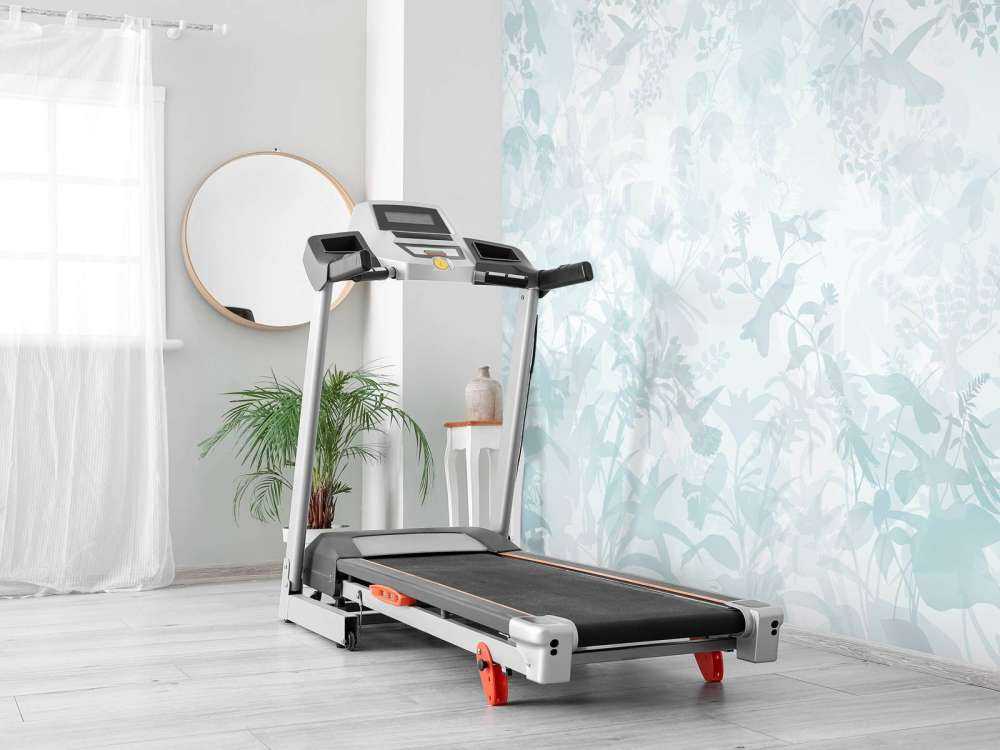 Garden Symphony in Blue