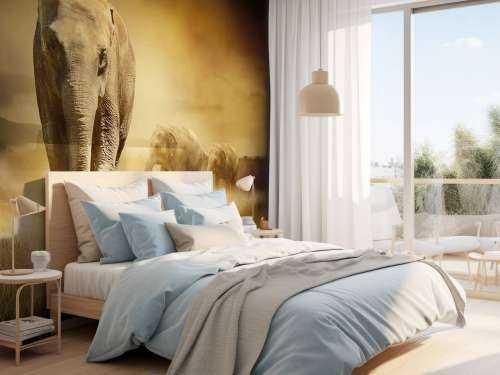 Three elephants