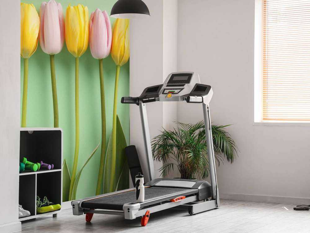 Tulips on mint green background