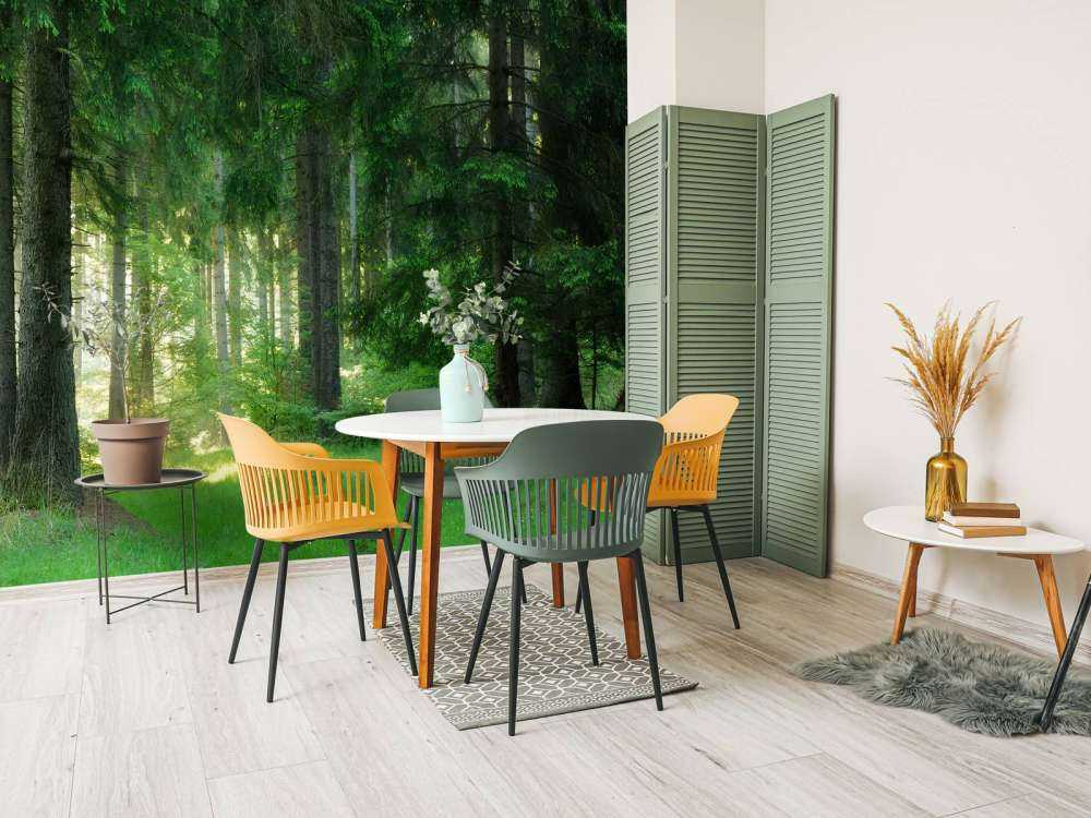 Green conifers forest