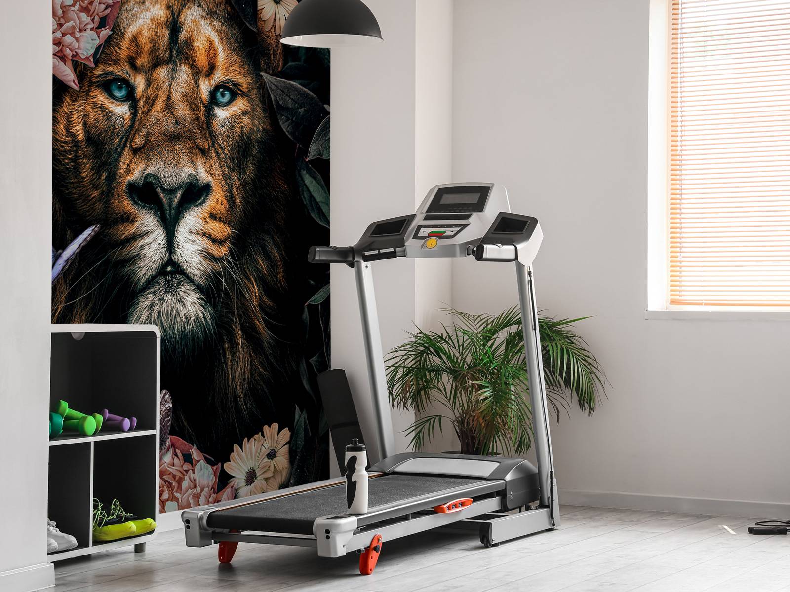 Jungle Lion