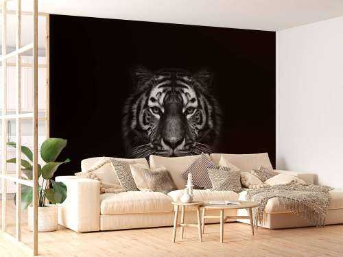 Dark Tiger