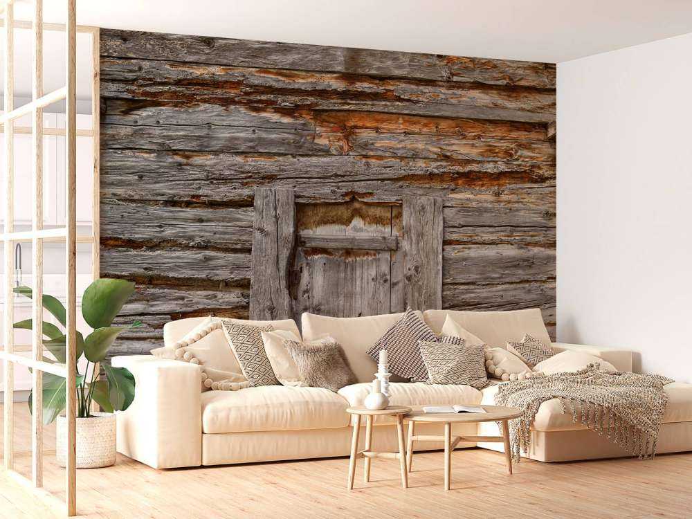 Old wood with door
