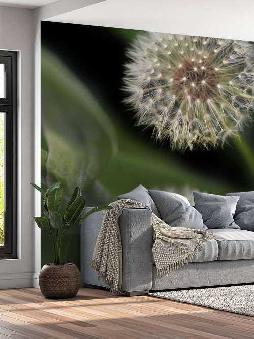 Close-up dandelions
