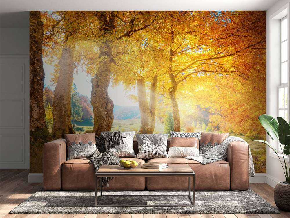 Warm autumn landscape