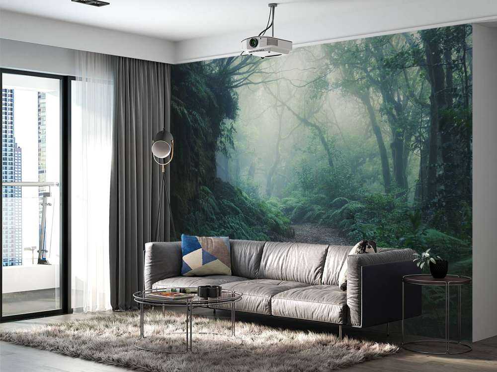 Green foggy forest