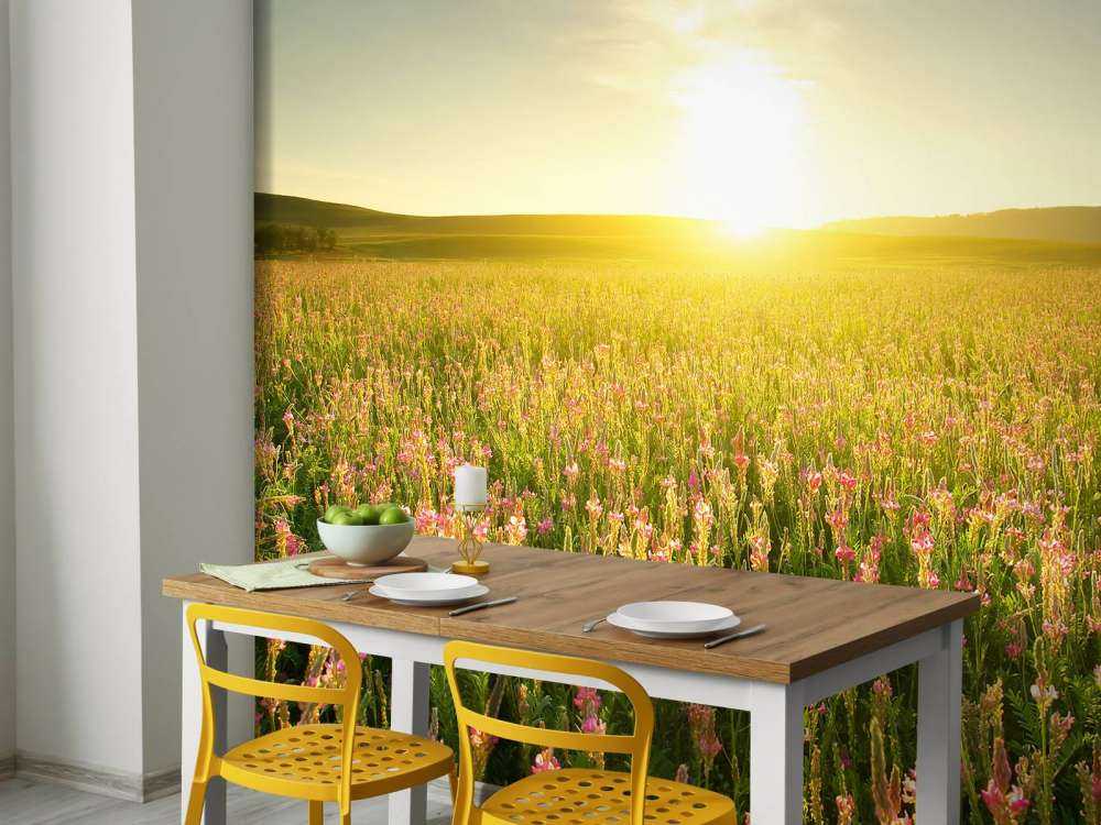 Zonsopkomst bij een bloemenveld