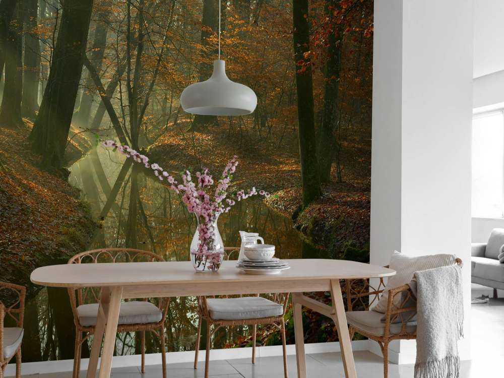 River through the forest