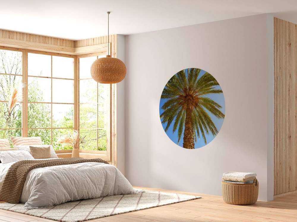 Gedetailleerde Palmboom