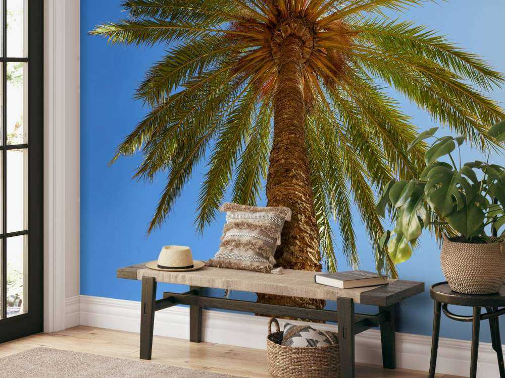 Gedetailleerde Palmboom