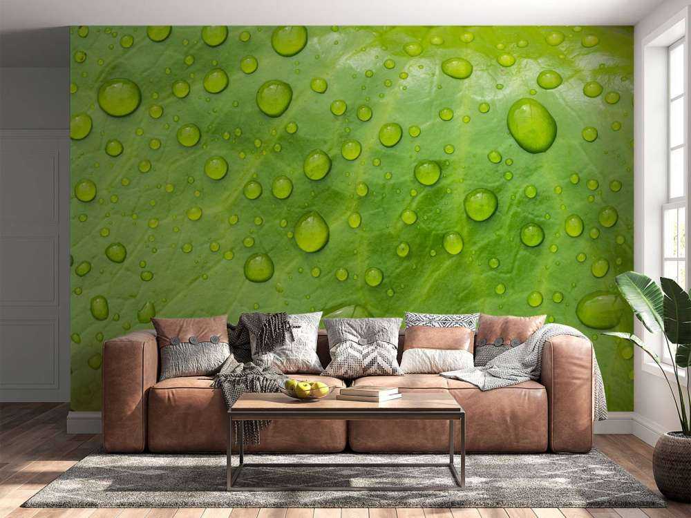 Blad met waterdruppels