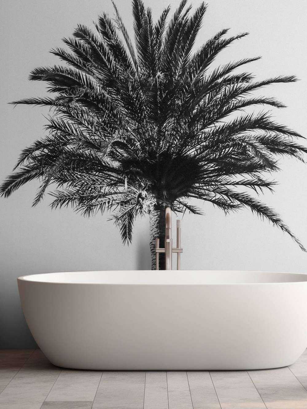 Black and White palm