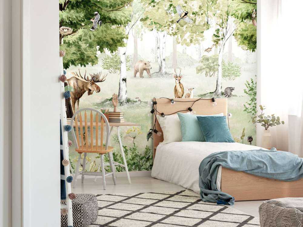 Woodland Wonders