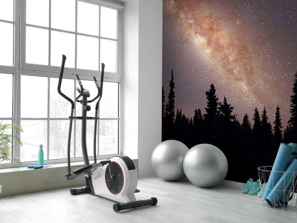 Milky way above silhouette of trees