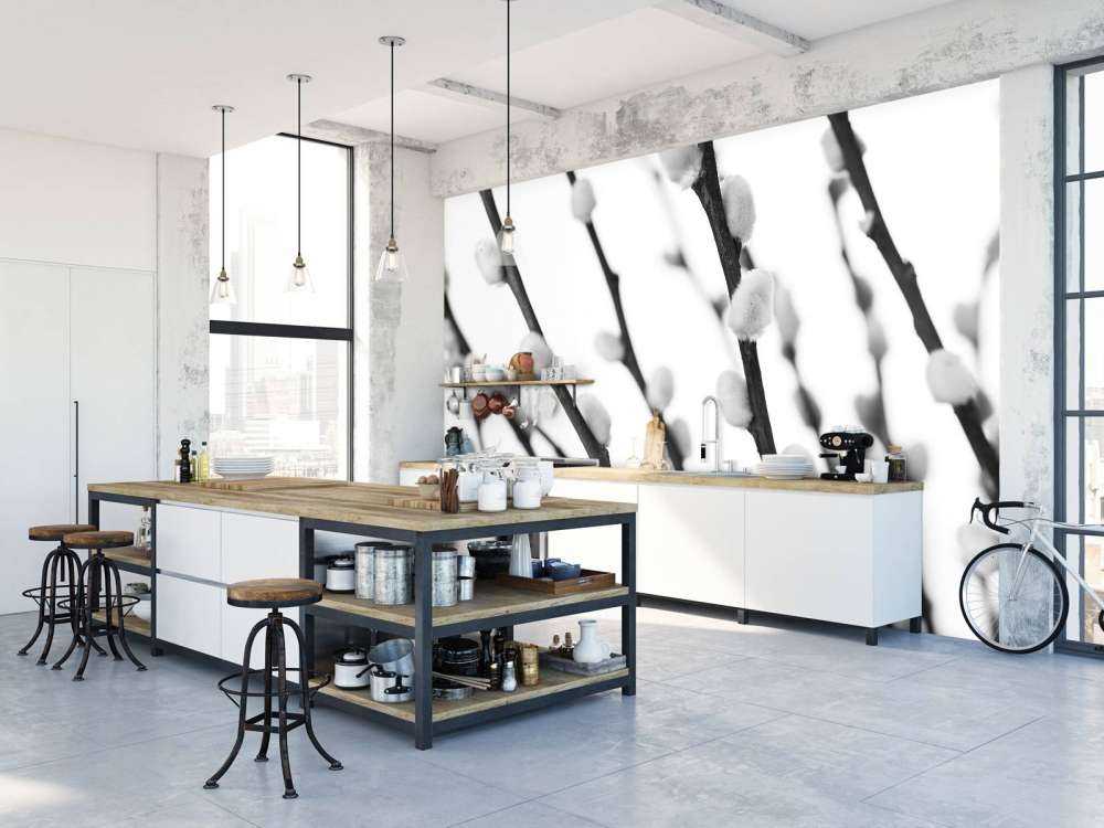 Black and white willow