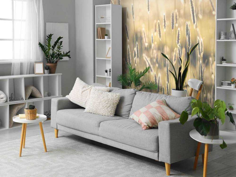 Summer meadow close-up