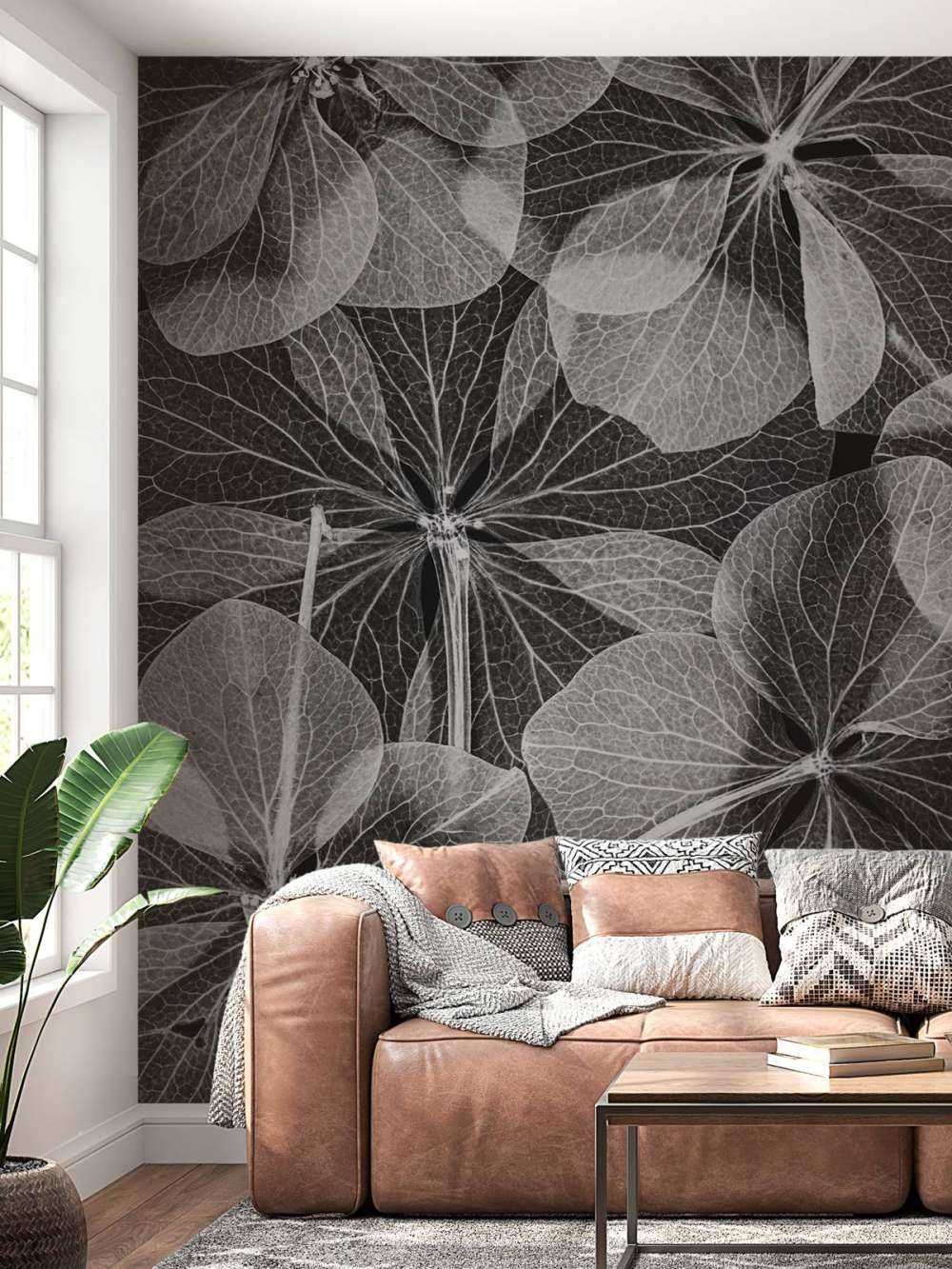 Botanical Black&White
