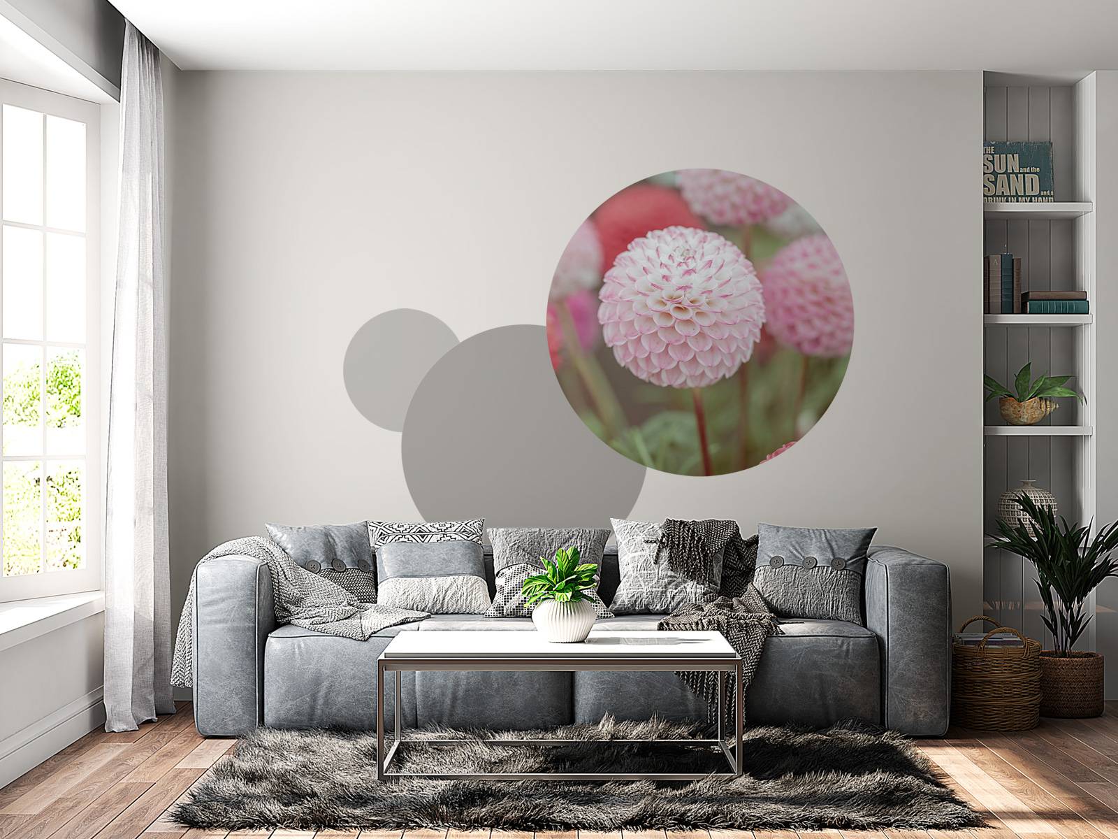 Pink dahlia flowers