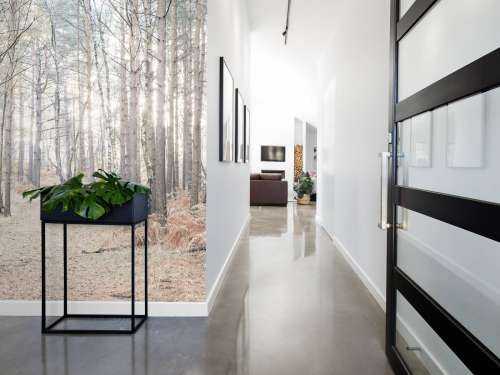 Sand path through forest