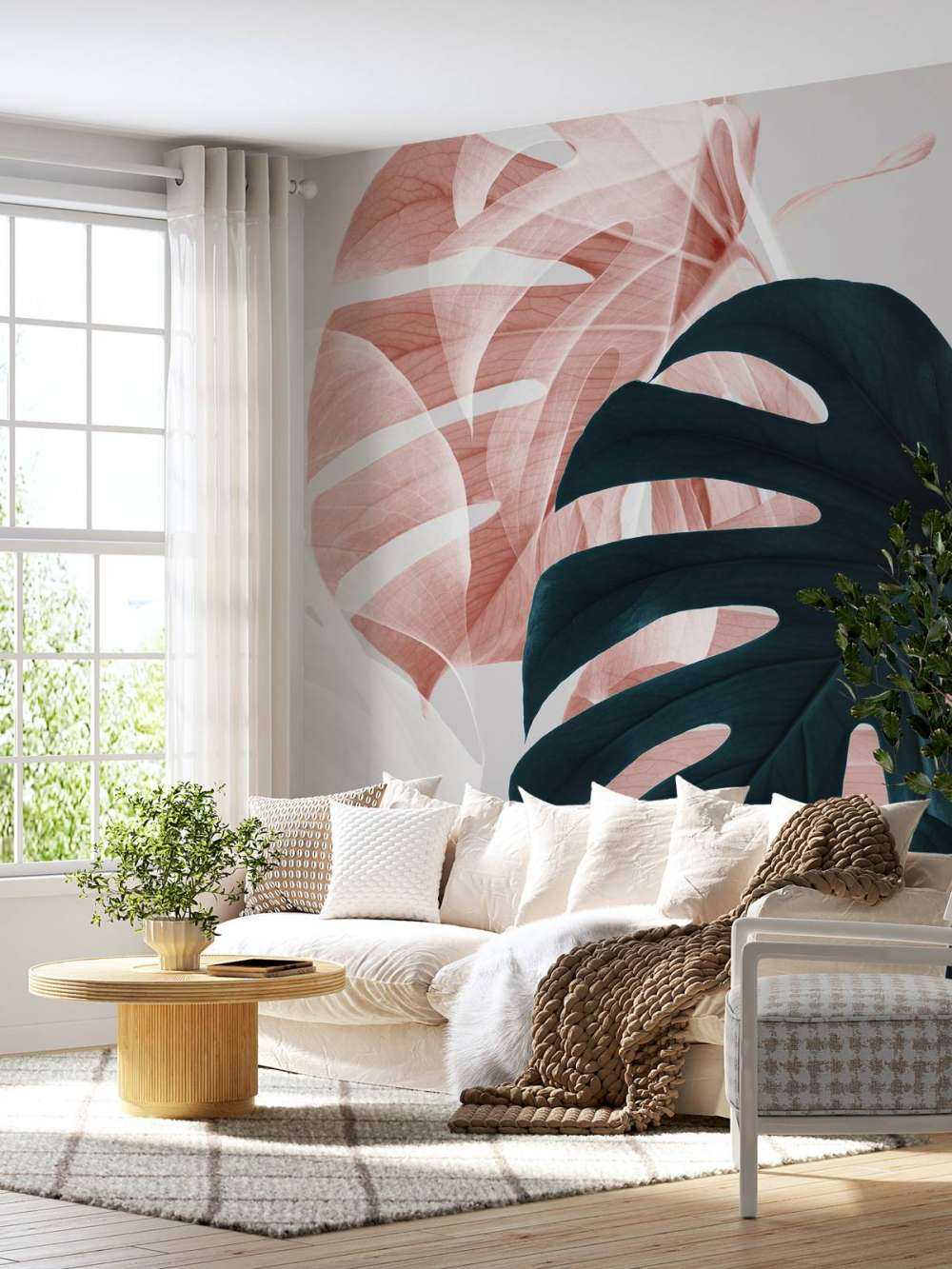 Monstera Creative 09