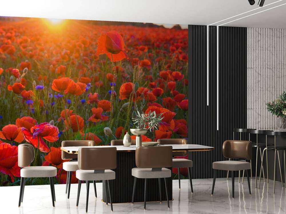 Poppies with rising sun