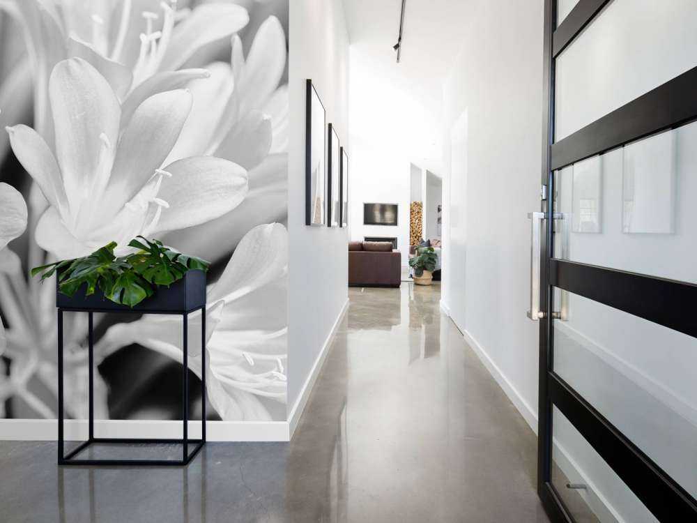 Flowers in bloom, black and white