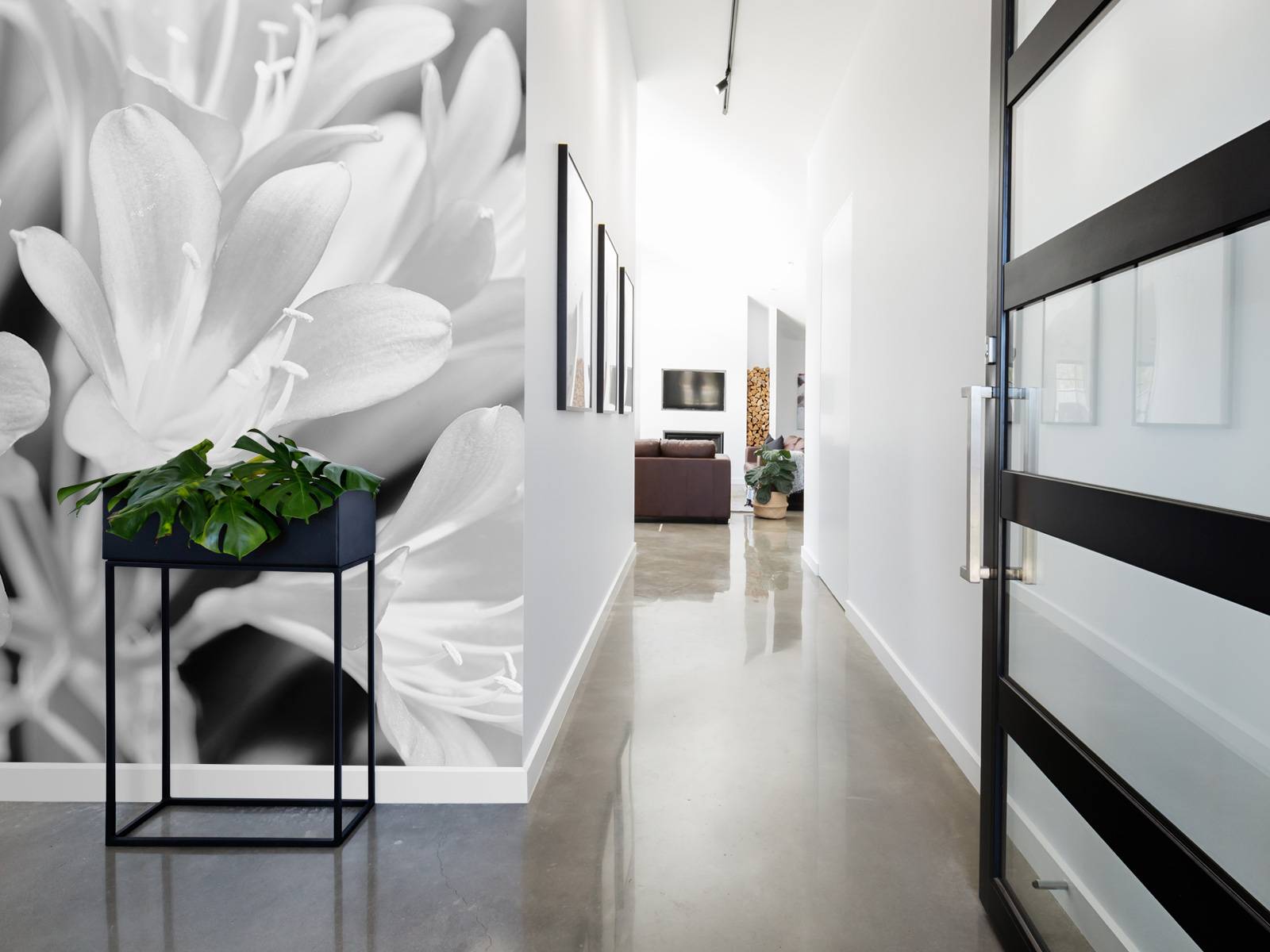 Flowers in bloom, black and white