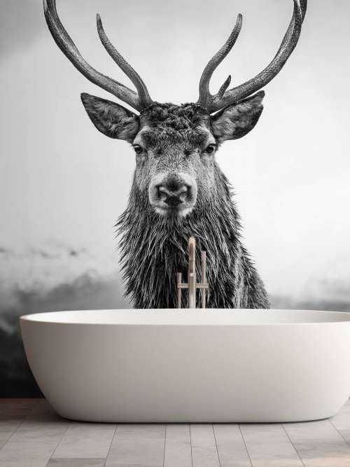 Big deer