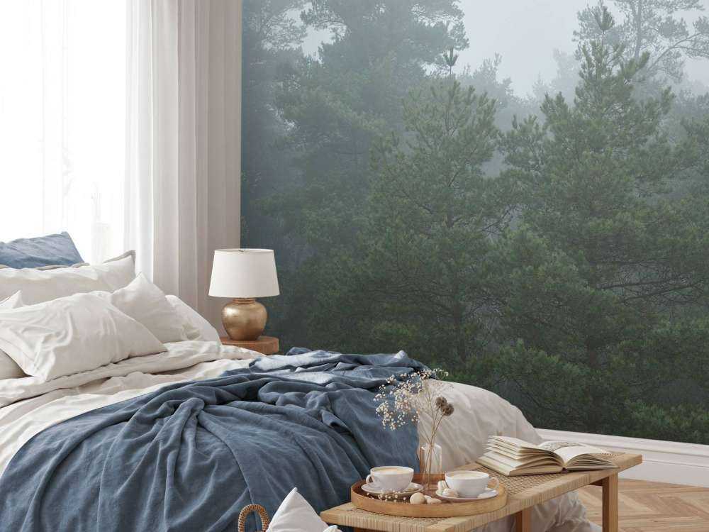 Naaldbomen in de mist