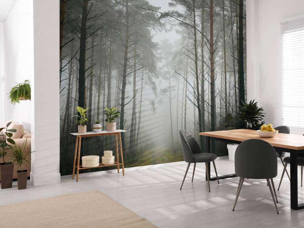 Path in misty forest