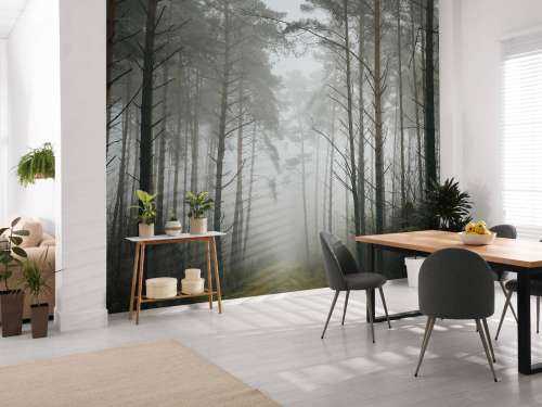 Path in misty forest