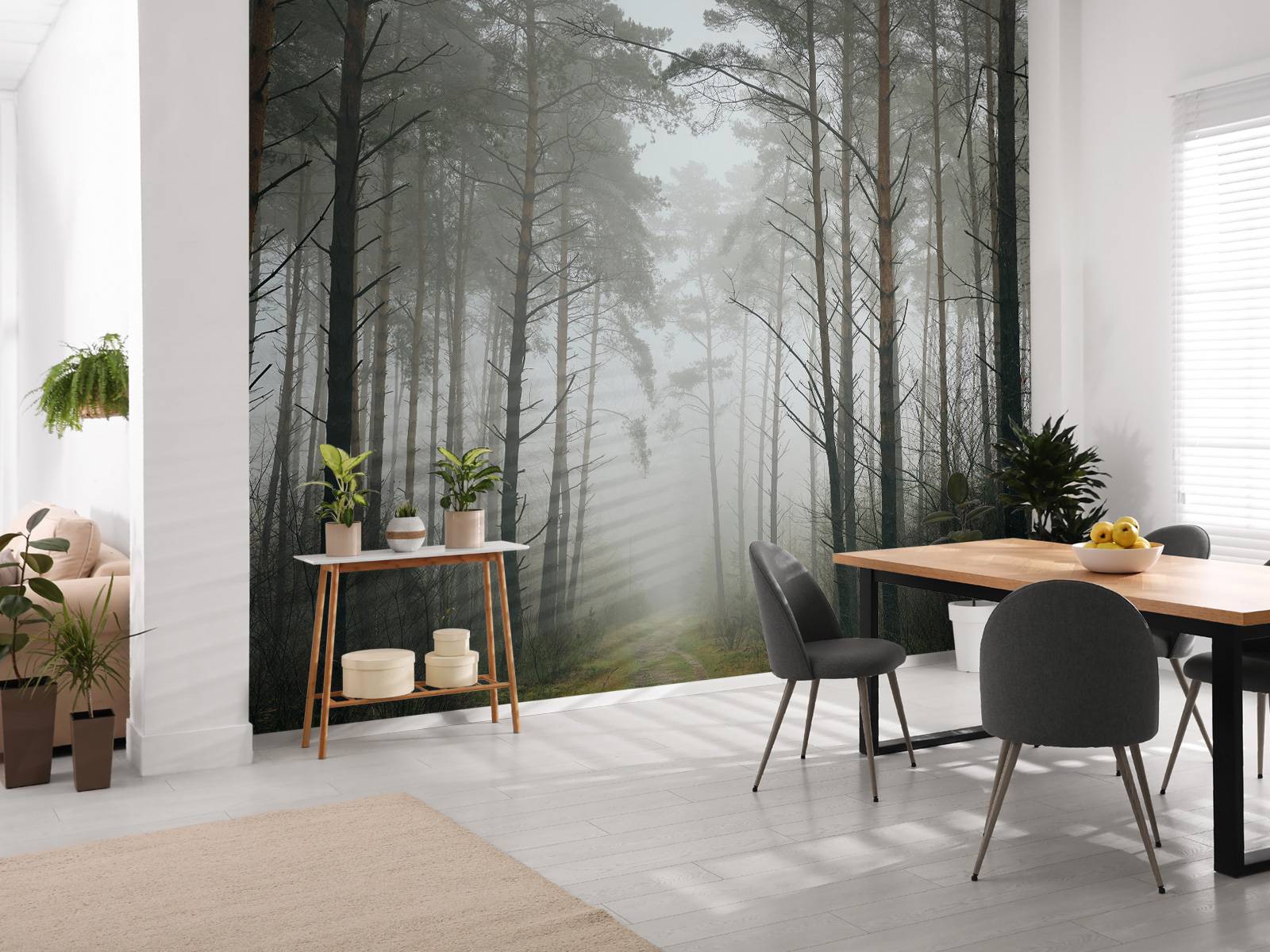 Path in misty forest