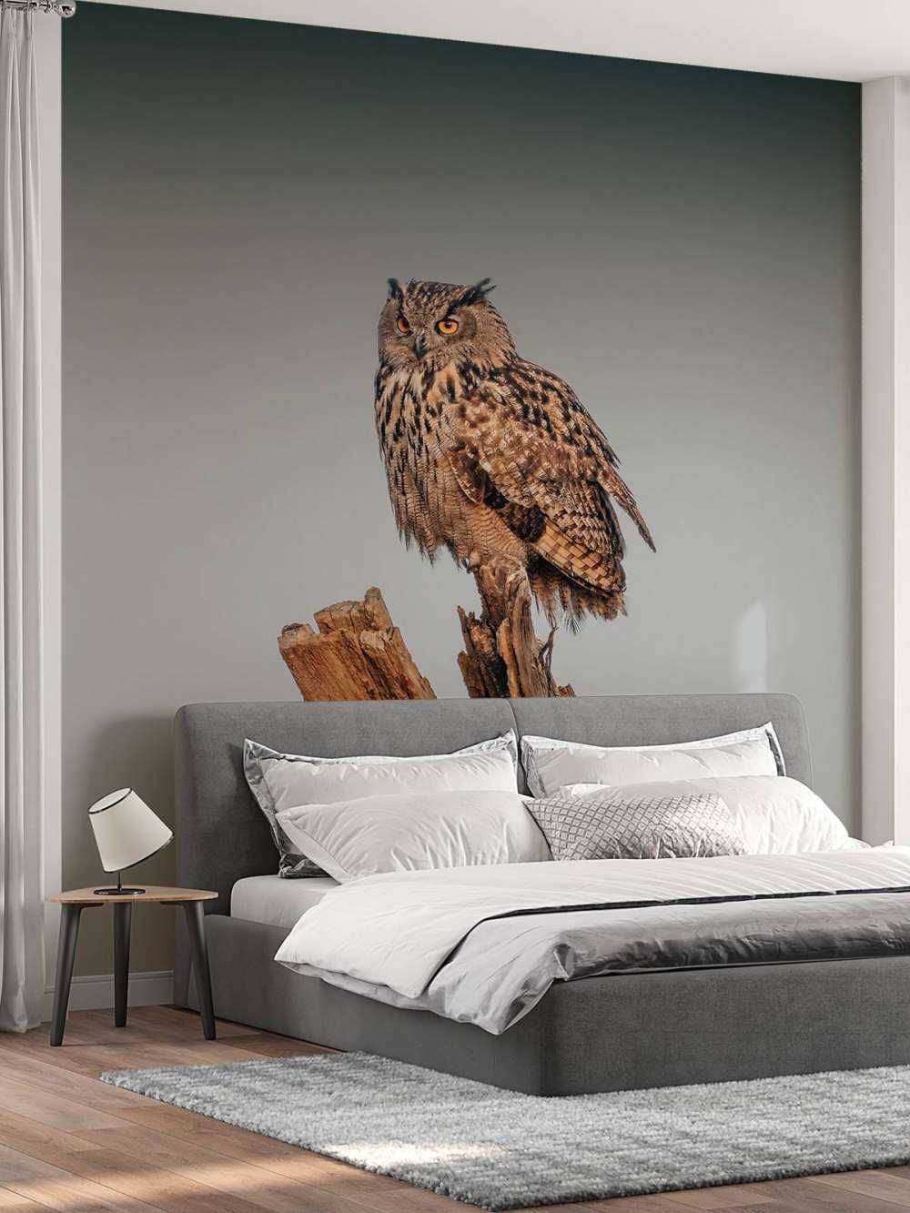 Eagle owl