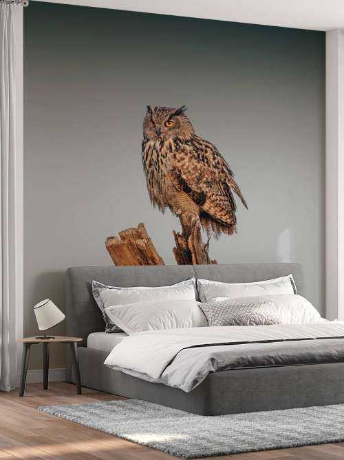 Eagle owl