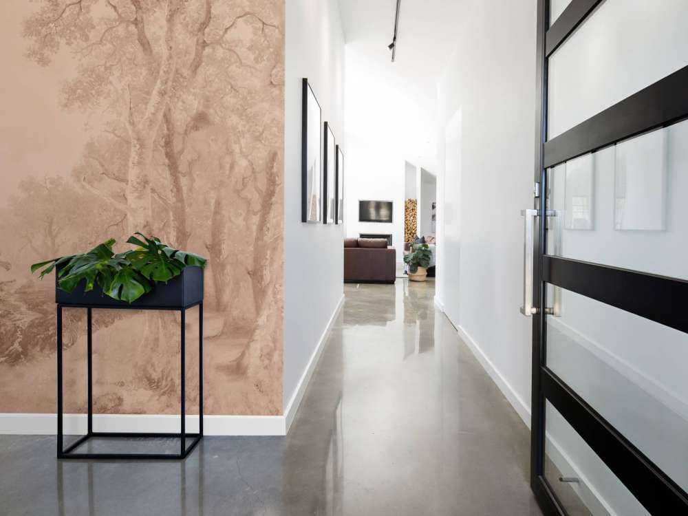 Forest Landscape Terra #1