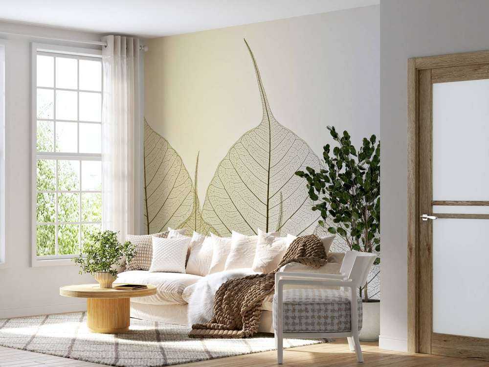 Skeleton leaves on coloured background